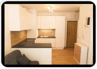 apartment for rent Piękna Wrocław